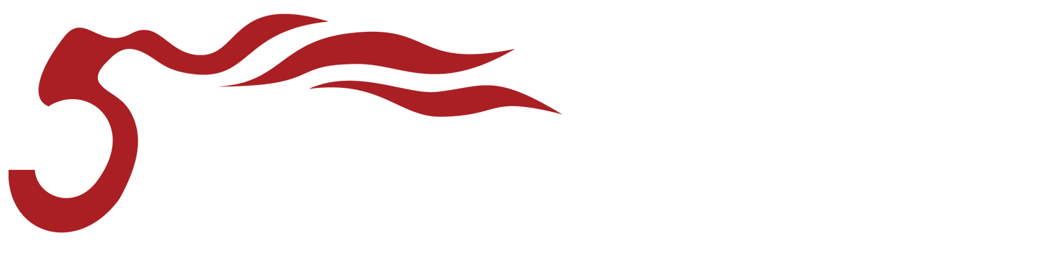 音王電聲股份有限公司