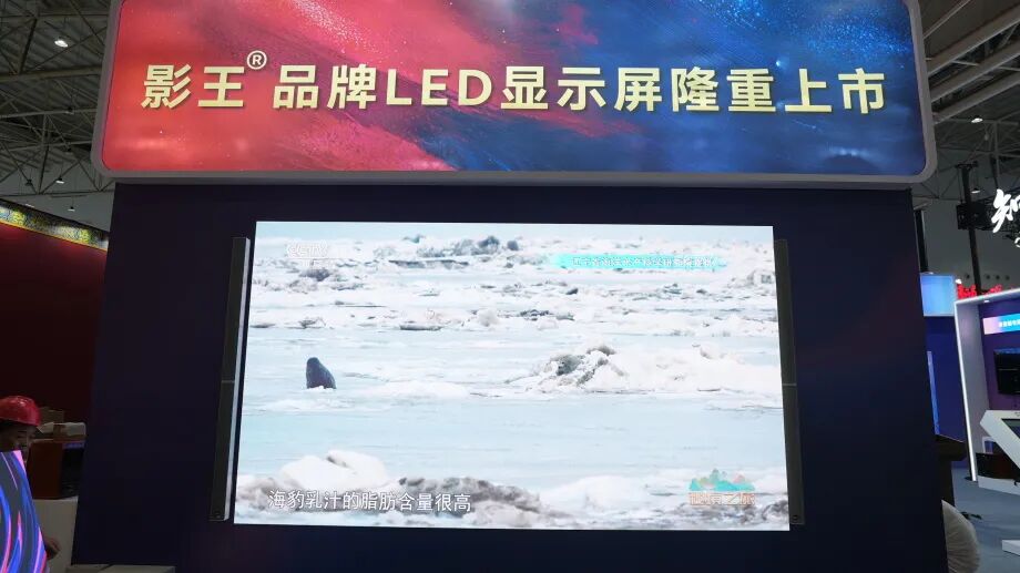 人氣爆棚|音王亮相武漢文旅博覽會，憑借硬核實力強勢出圈